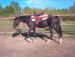 Jess ve westernu